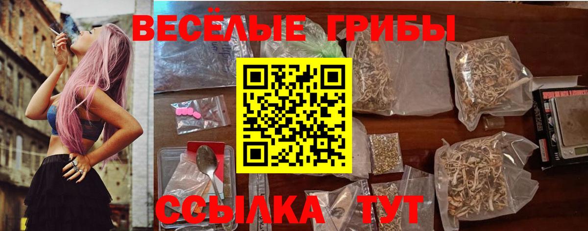 наркота  Псилоцибиновые грибы Magic Shrooms  Вход с VPN  Северобайкальск 