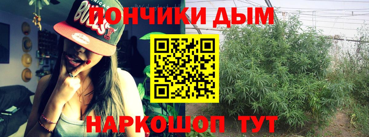 Бошки марихуана план  Канабис гибрид  Бошки Шишки ГИДРОПОН  Канабис планчик  Северобайкальск  Вход с VPN 